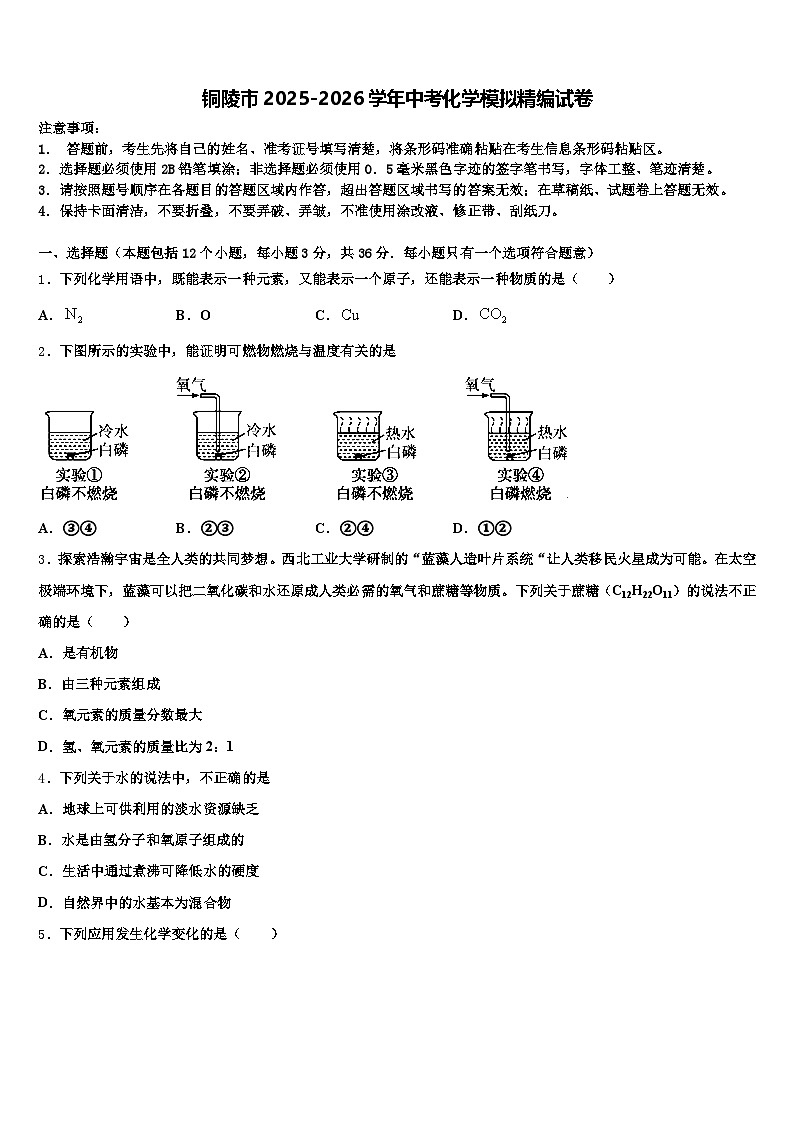 铜陵市2025-2026学年中考化学模拟精编试卷（含答案解析）第1页
