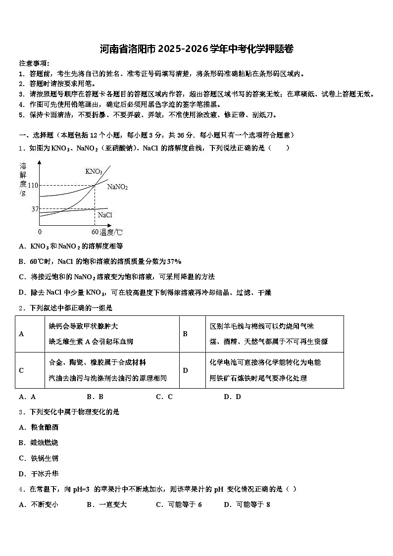 河南省洛阳市2025-2026学年中考化学押题卷（含答案解析）第1页