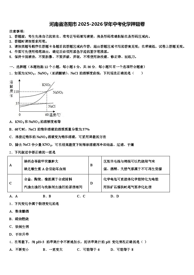 河南省洛阳市2025-2026学年中考化学押题卷（含答案解析）第1页
