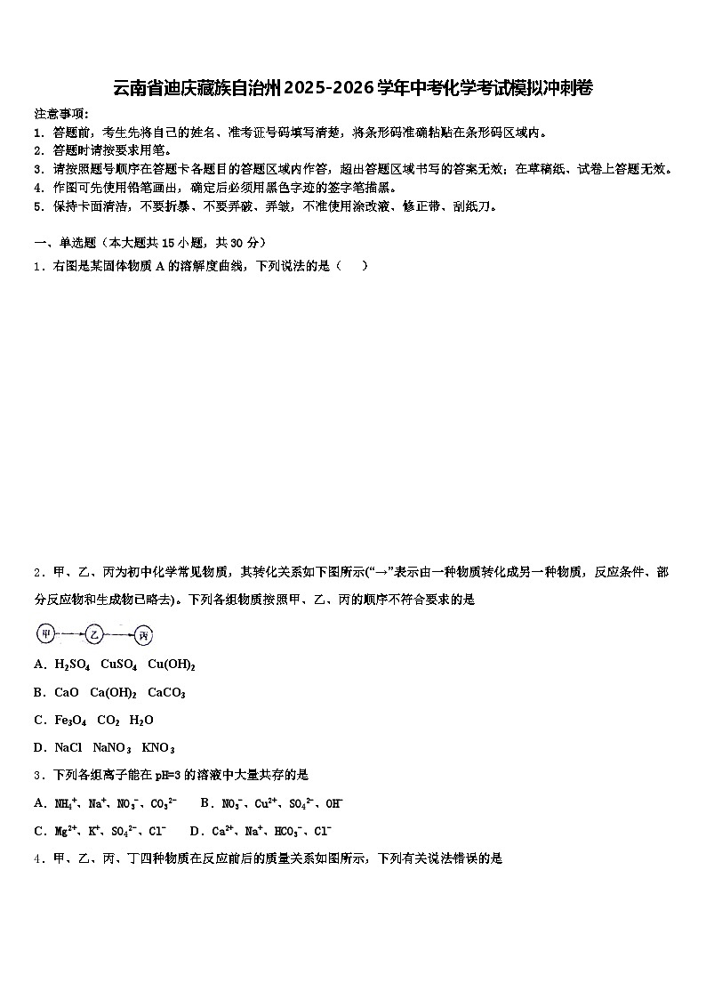 云南省迪庆藏族自治州2025-2026学年中考化学考试模拟冲刺卷（含答案解析）第1页