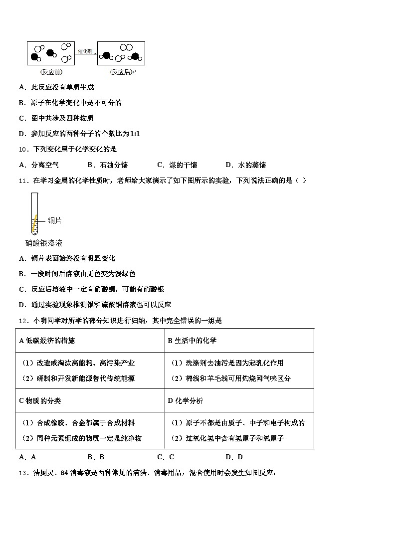 云南省迪庆藏族自治州2025-2026学年中考化学考试模拟冲刺卷（含答案解析）第3页