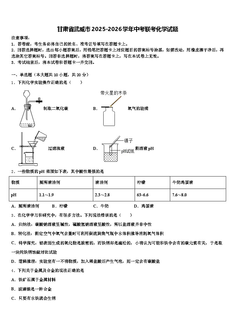 甘肃省武威市2025-2026学年中考联考化学试题（含答案解析）第1页