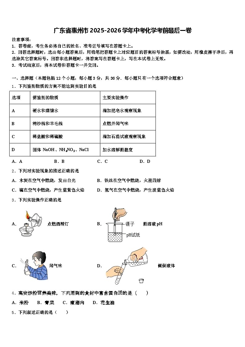 广东省惠州市2025-2026学年中考化学考前最后一卷（含答案解析）第1页