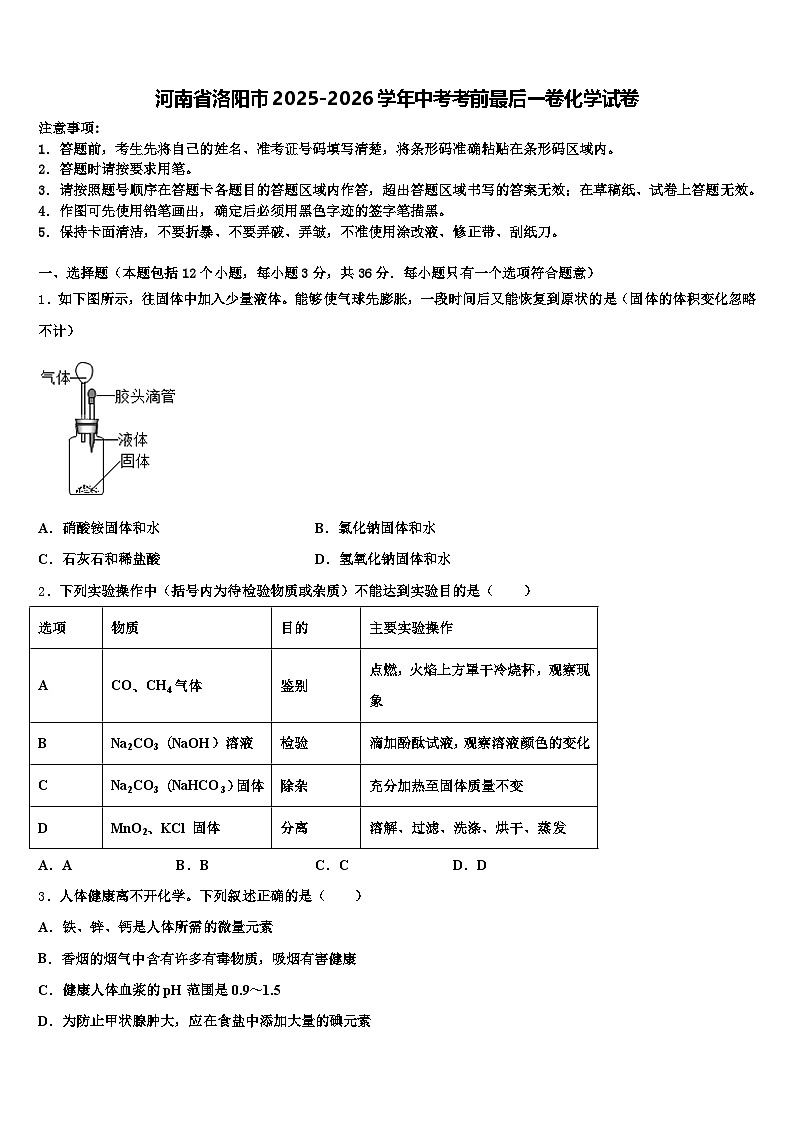 河南省洛阳市2025-2026学年中考考前最后一卷化学试卷（含答案解析）第1页