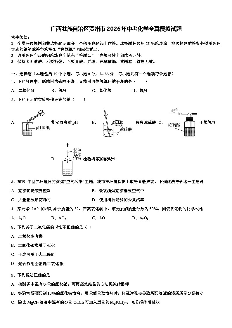 广西壮族自治区贺州市2026年中考化学全真模拟试题（含答案解析）第1页