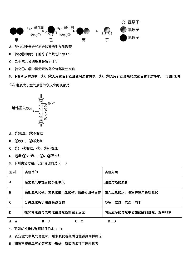 2025-2026学年濮阳市中考化学最后一模试卷（含答案解析）第2页