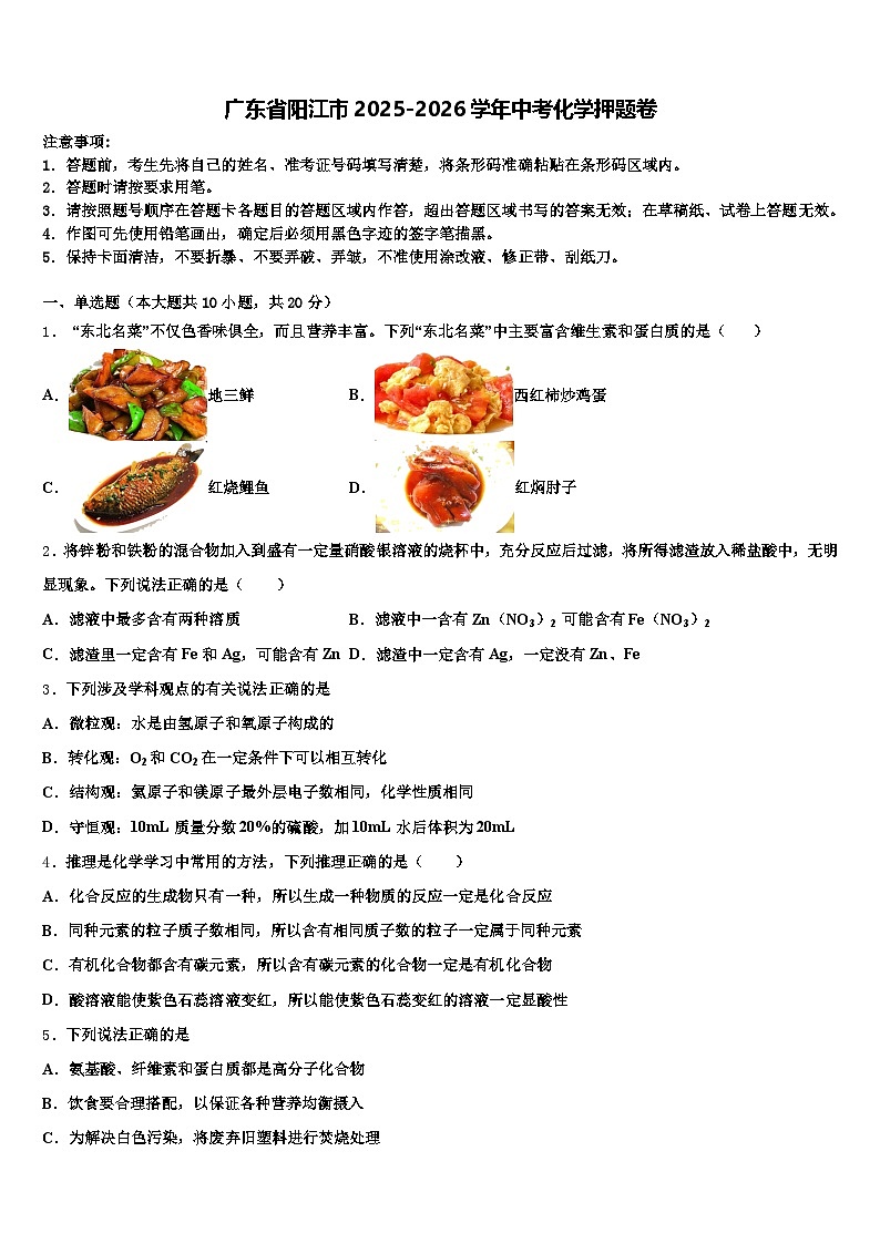 广东省阳江市2025-2026学年中考化学押题卷（含答案解析）第1页