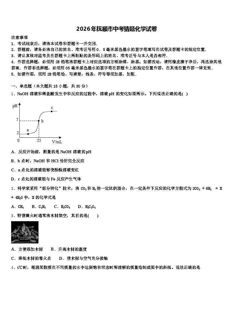 2026年抚顺市中考猜题化学试卷（含答案解析）第1页