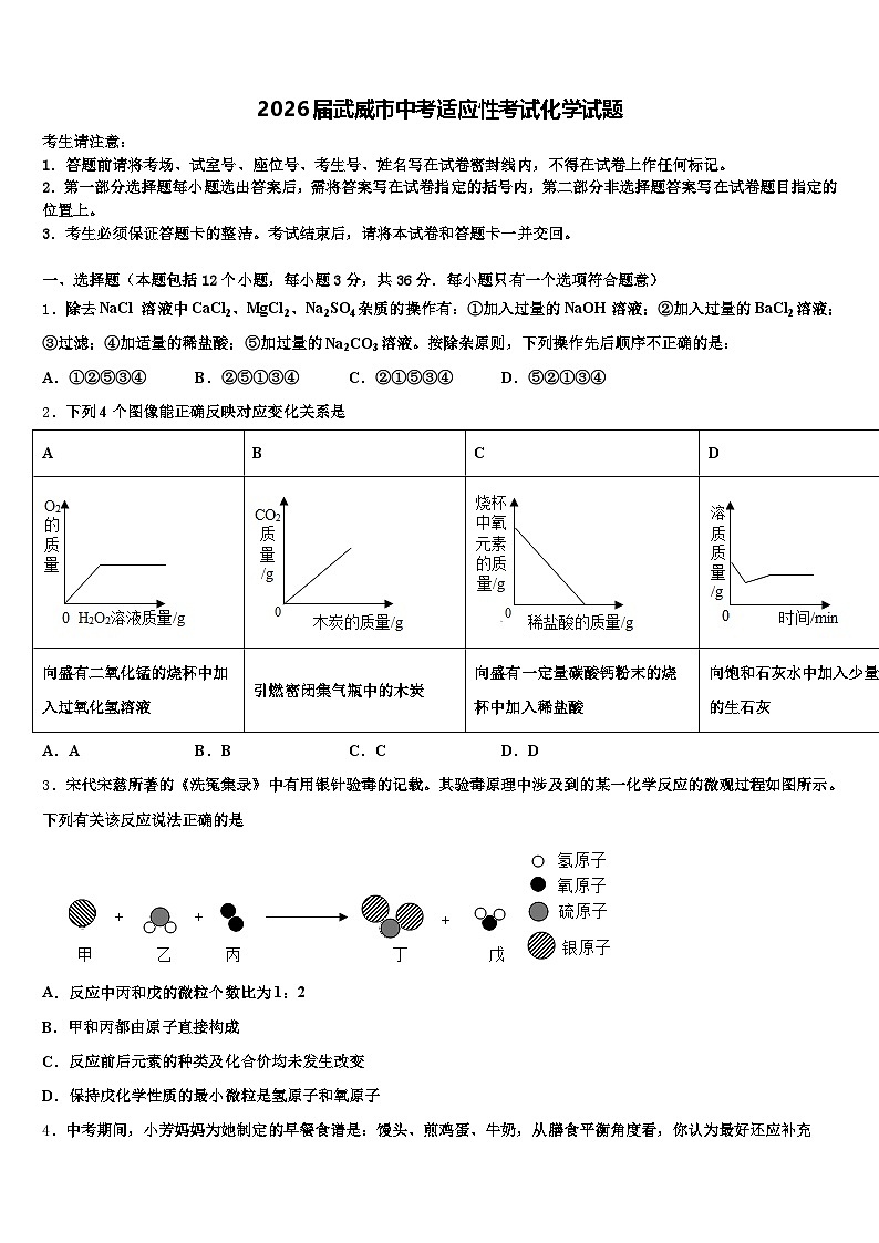 2026届武威市中考适应性考试化学试题（含答案解析）第1页