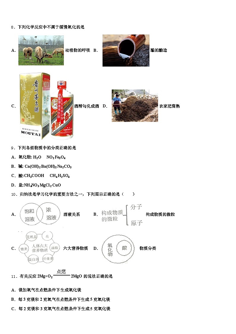 2026届江西省吉安市中考化学猜题卷（含答案解析）第3页