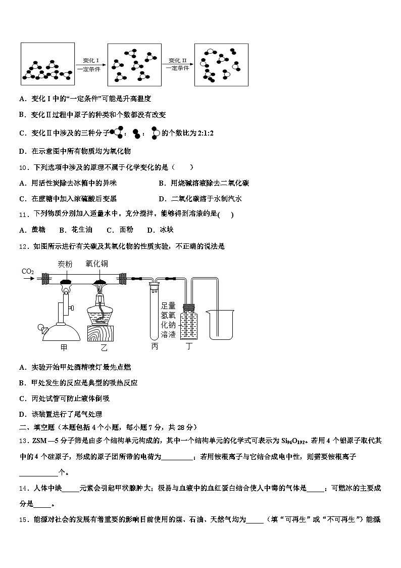2025-2026学年陕西省西安市中考化学考前最后一卷（含答案解析）第3页
