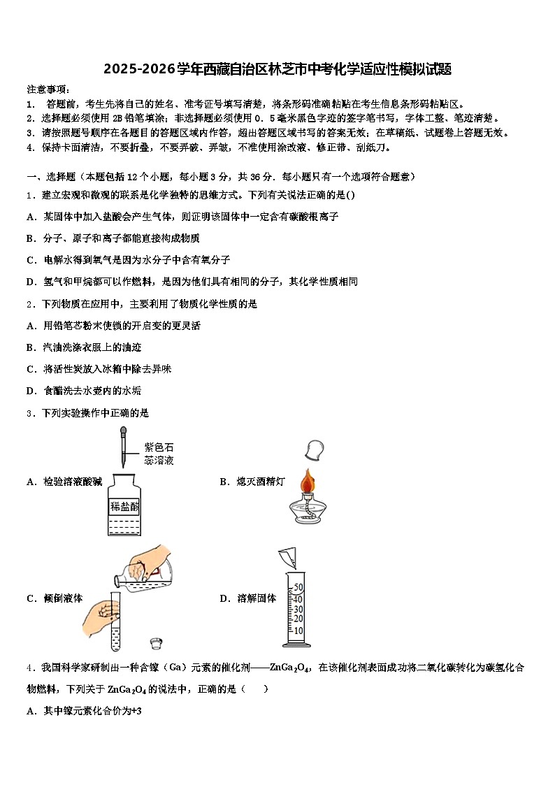 2025-2026学年西藏自治区林芝市中考化学适应性模拟试题（含答案解析）第1页