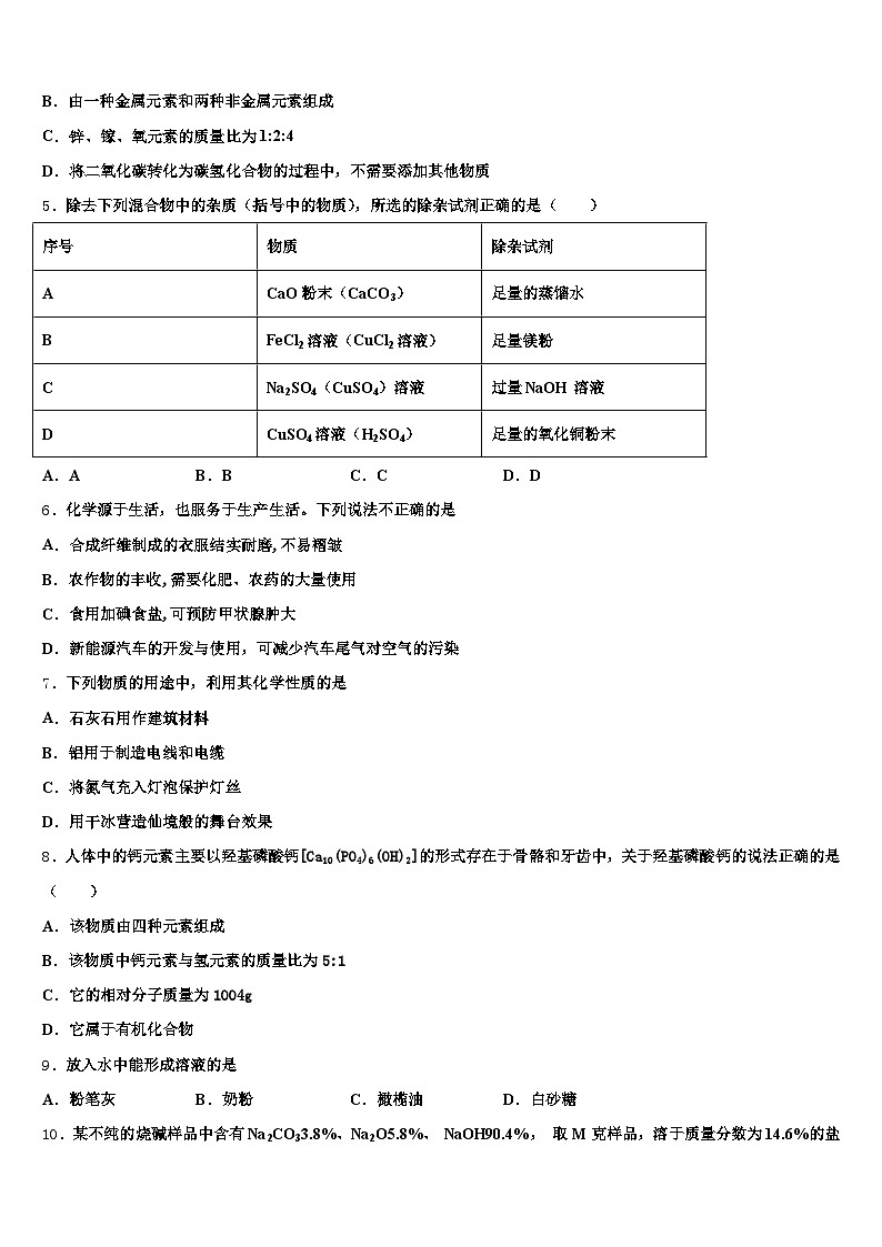 2025-2026学年西藏自治区林芝市中考化学适应性模拟试题（含答案解析）第2页