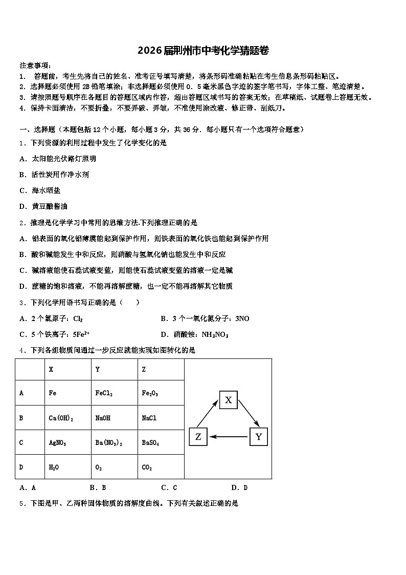 2026届荆州市中考化学猜题卷（含答案解析）第1页