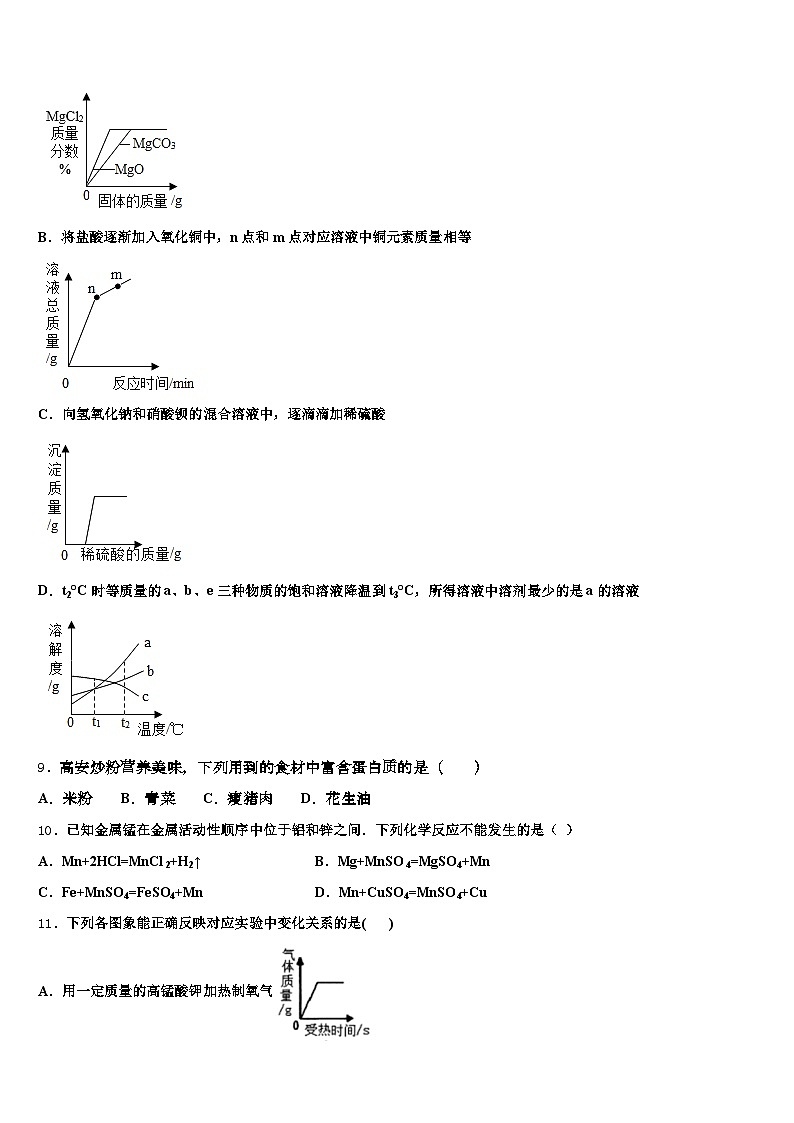 2026届西藏自治区山南市中考化学仿真试卷（含答案解析）第3页