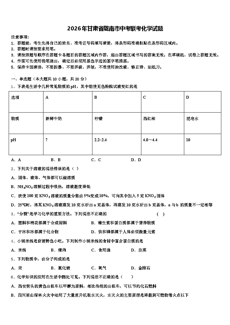 2026年甘肃省陇南市中考联考化学试题（含答案解析）第1页