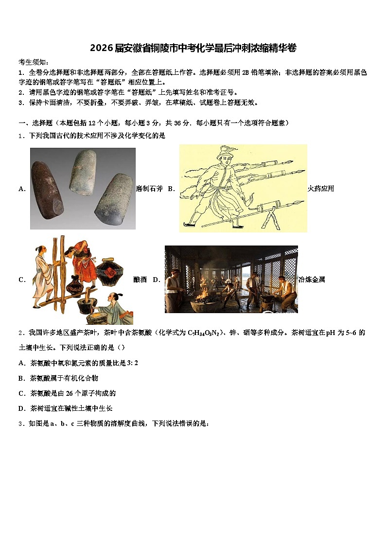 2026届安徽省铜陵市中考化学最后冲刺浓缩精华卷（含答案解析）第1页
