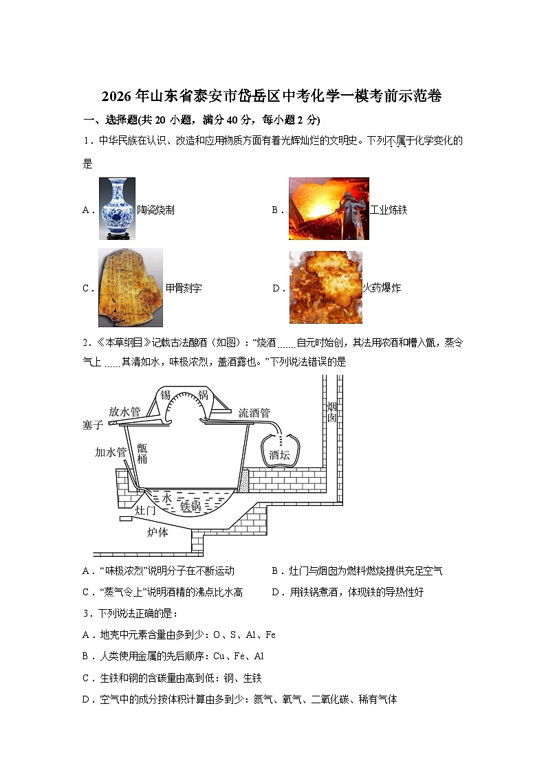 2026年山东省泰安市岱岳区中考化学一模考前示范卷含答案第1页
