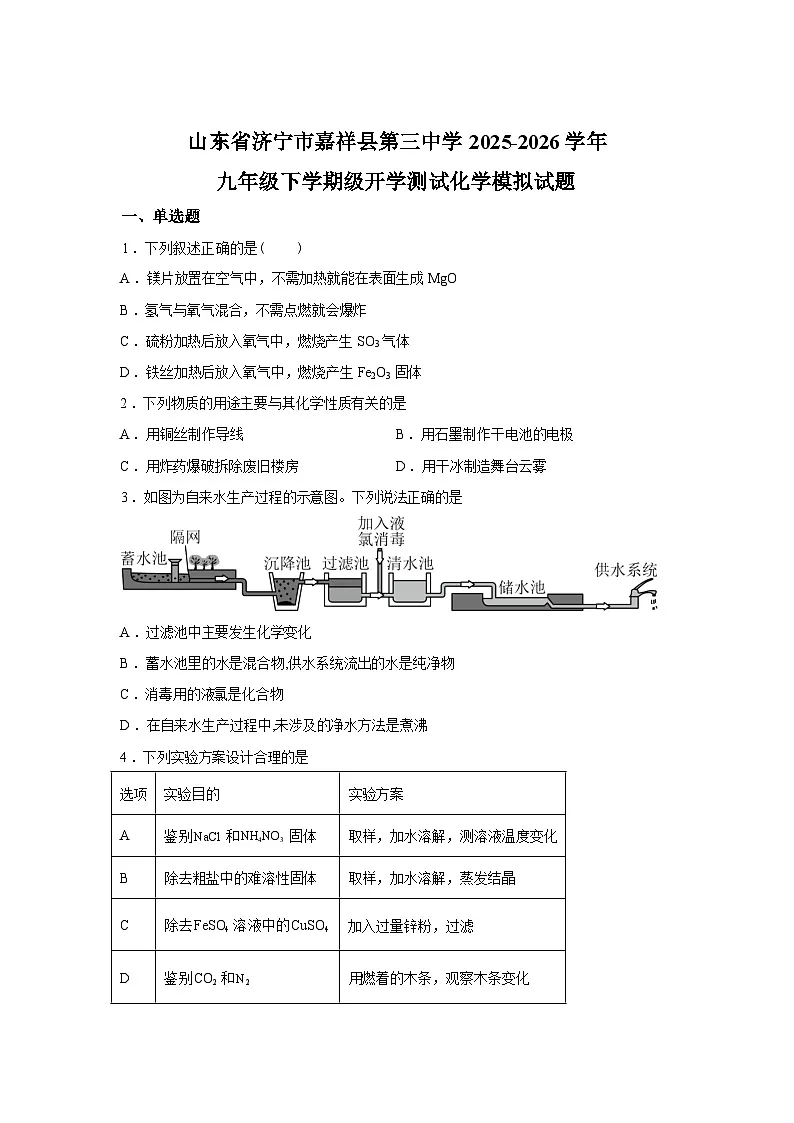 山东济宁市嘉祥县第三中学2025-2026学年九年级下学期化学收心练习含答案第1页