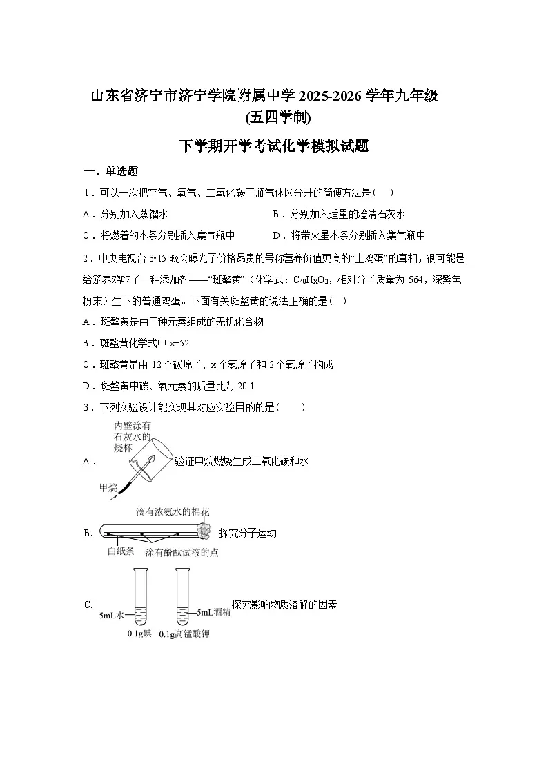 山东济宁市济宁学院附属中学2025-2026学年九年级下学期化学收心练习含答案第1页