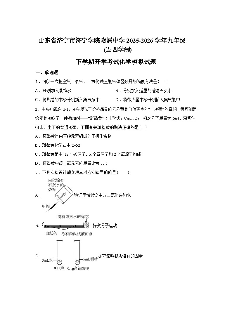 山东济宁市济宁学院附属中学2025-2026学年九年级下学期化学收心练习含答案第1页