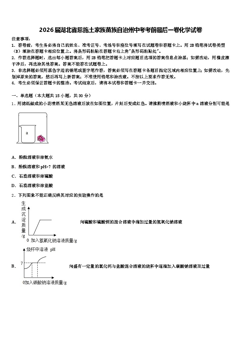 2026届湖北省恩施土家族苗族自治州中考考前最后一卷化学试卷（含答案解析）第1页
