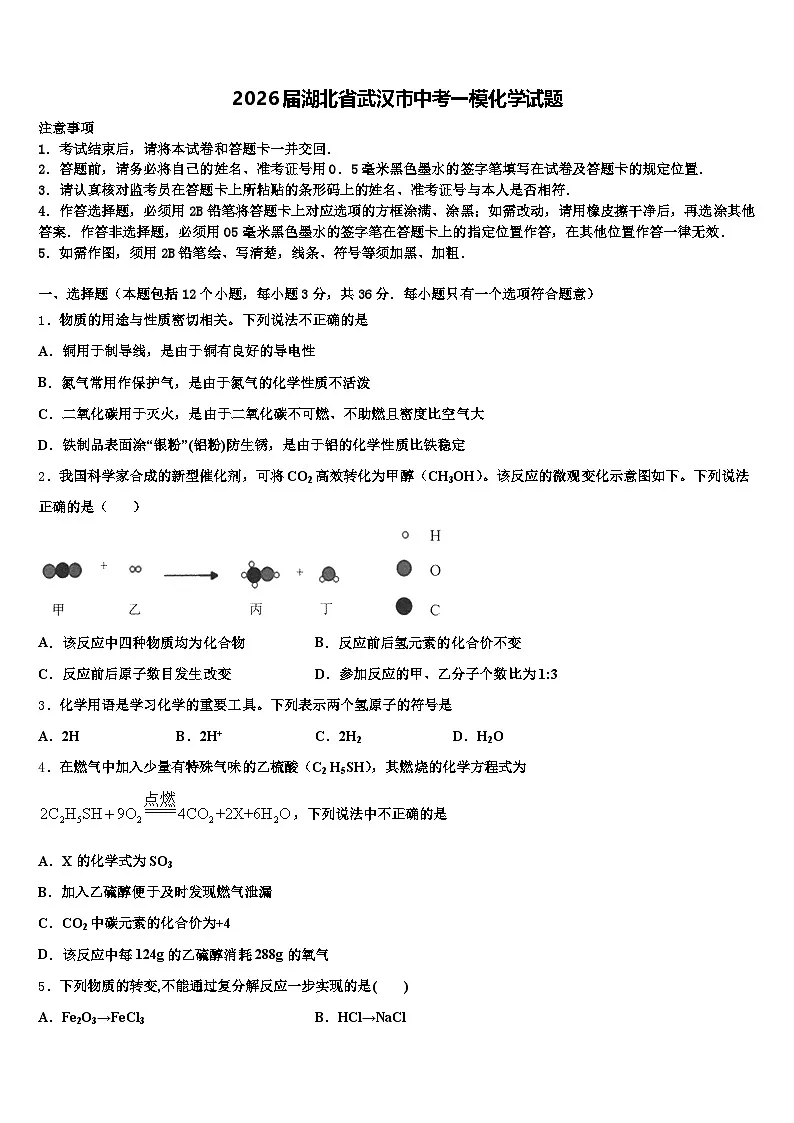 2026届湖北省武汉市中考一模化学试题（含答案解析）第1页