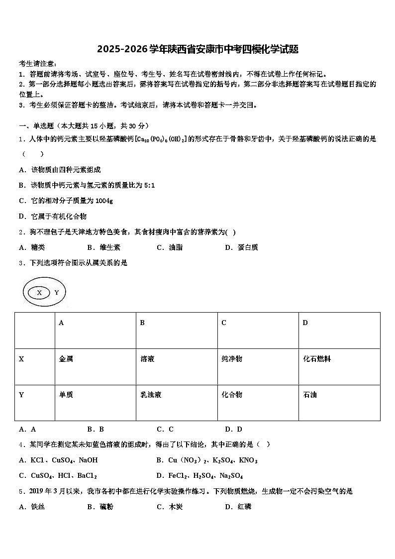 2025-2026学年陕西省安康市中考四模化学试题（含答案解析）第1页