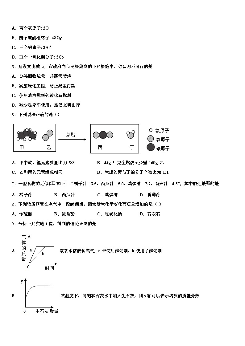 2025-2026学年陕西省延安市中考二模化学试题（含答案解析）第2页