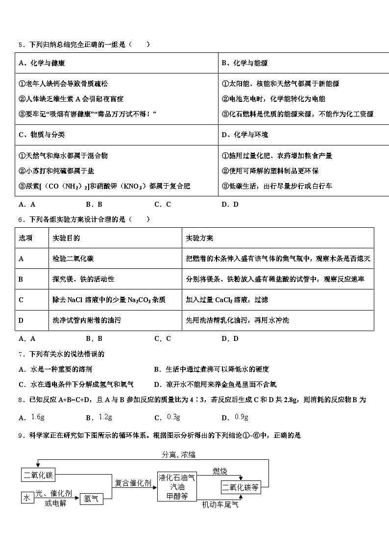 2025-2026学年四川省甘孜藏族自治州中考二模化学试题（含答案解析）第2页