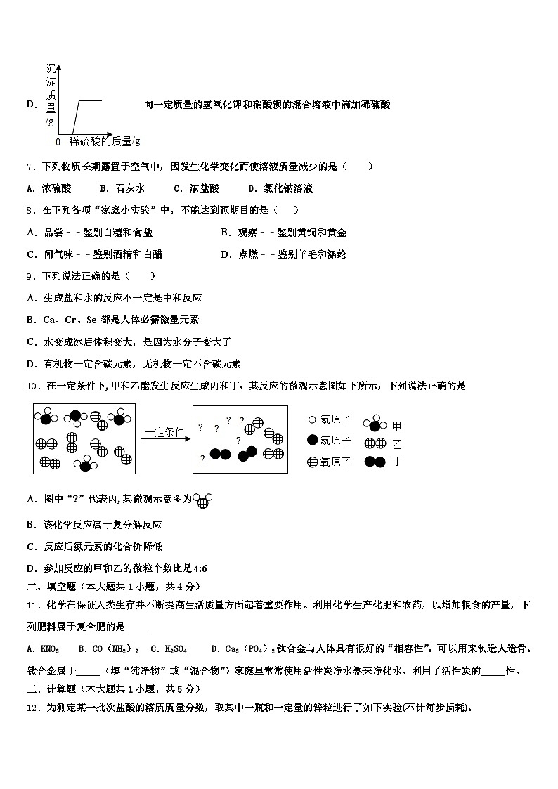 2025-2026学年四川省广元市中考冲刺卷化学试题（含答案解析）第3页
