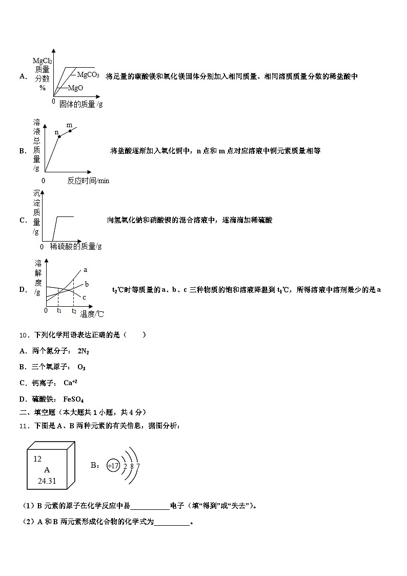 2025-2026学年四川省遂宁市中考化学模试卷（含答案解析）第3页