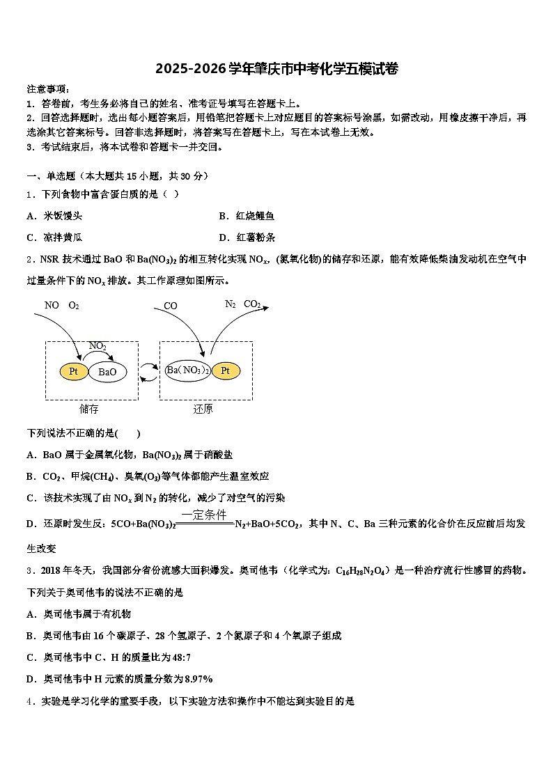 2025-2026学年肇庆市中考化学五模试卷（含答案解析）第1页