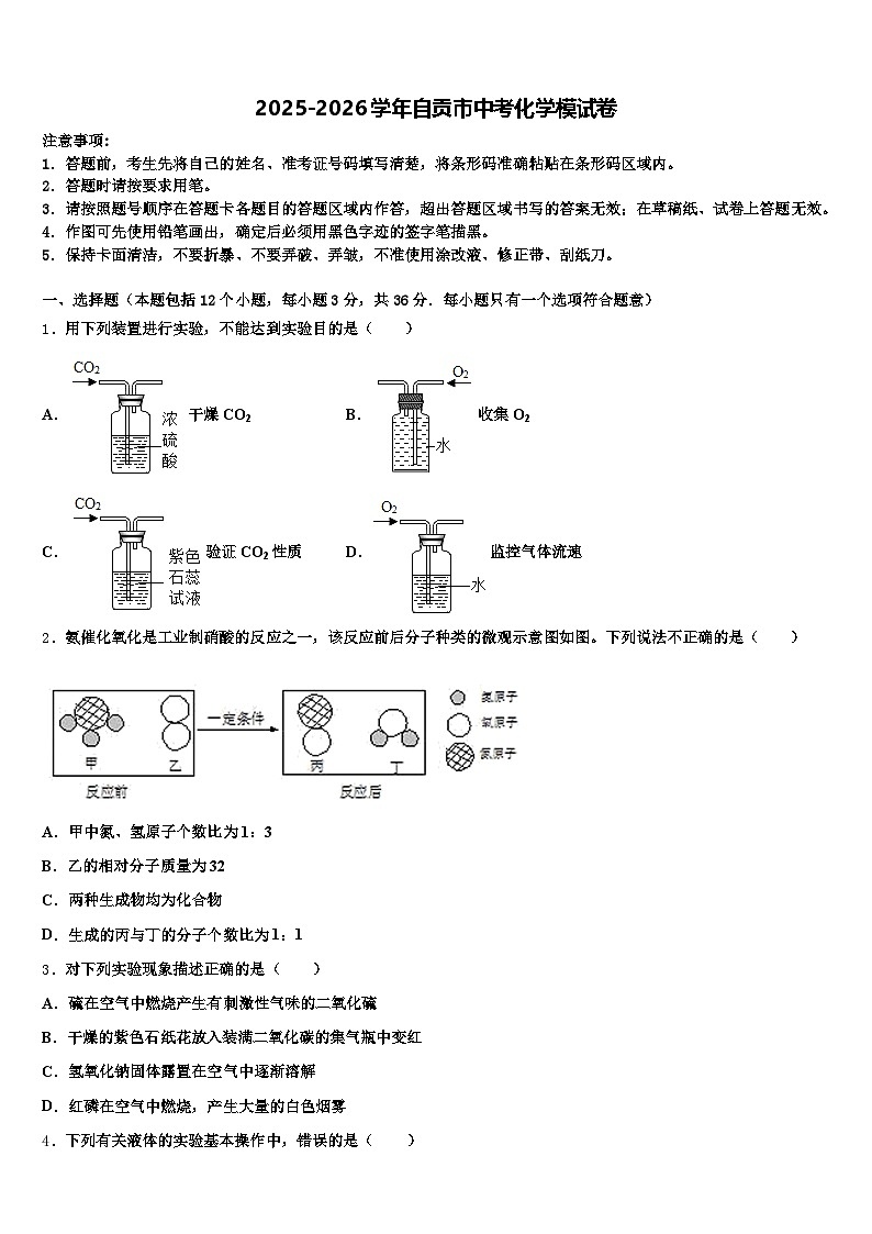 2025-2026学年自贡市中考化学模试卷（含答案解析）第1页