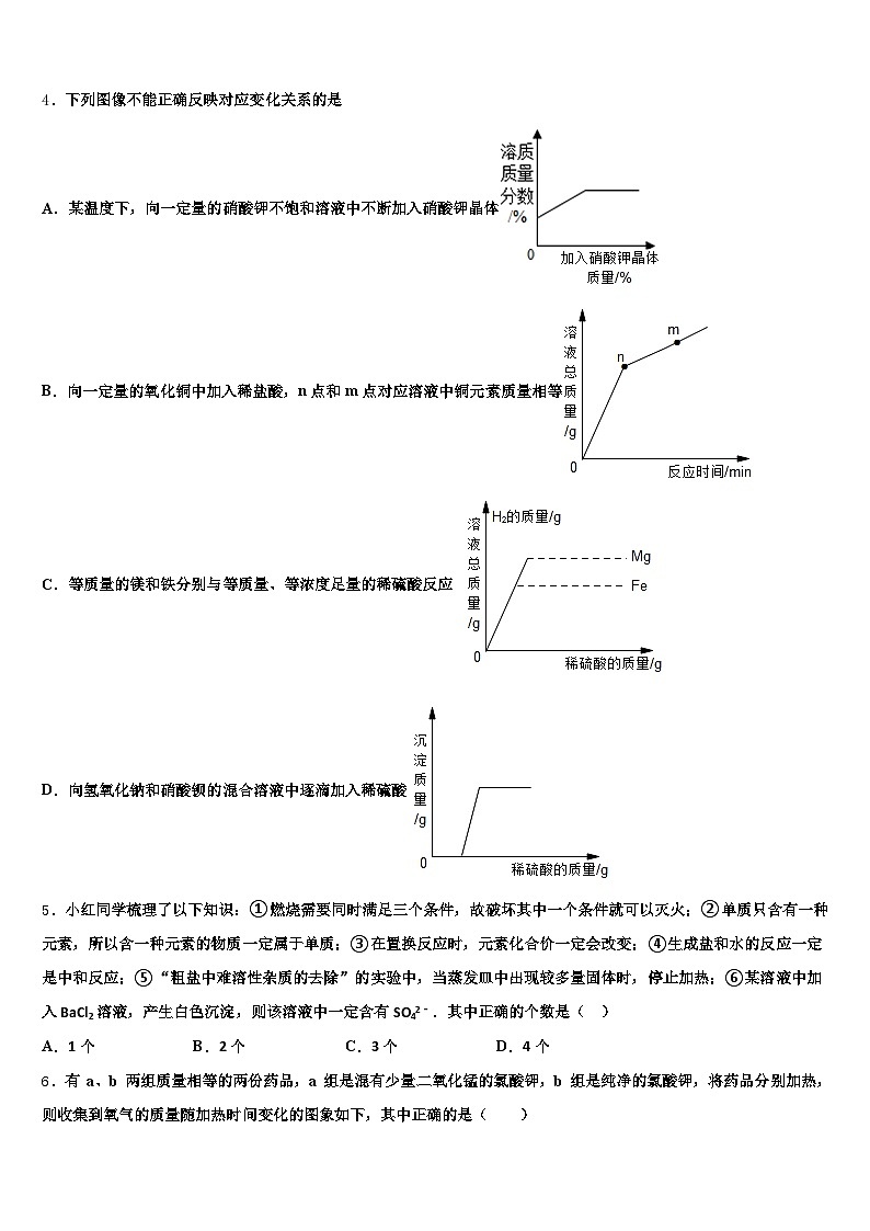 2026届达州市中考化学押题卷（含答案解析）第2页