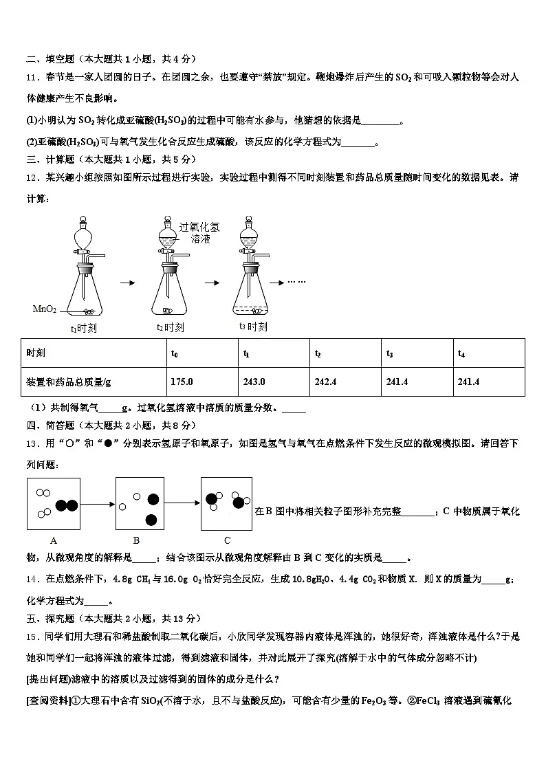 2026届海南省海口市中考化学模试卷（含答案解析）第3页