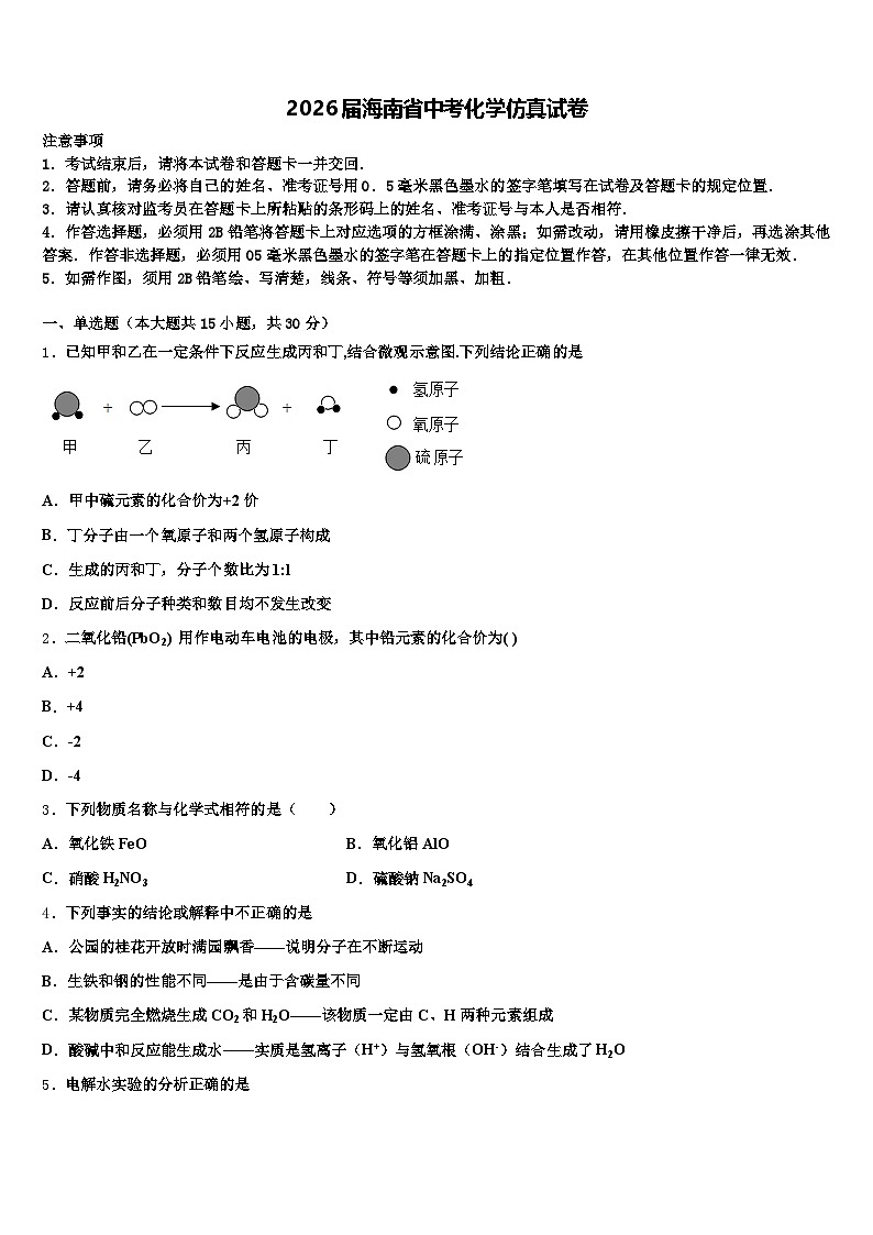2026届海南省中考化学仿真试卷（含答案解析）第1页