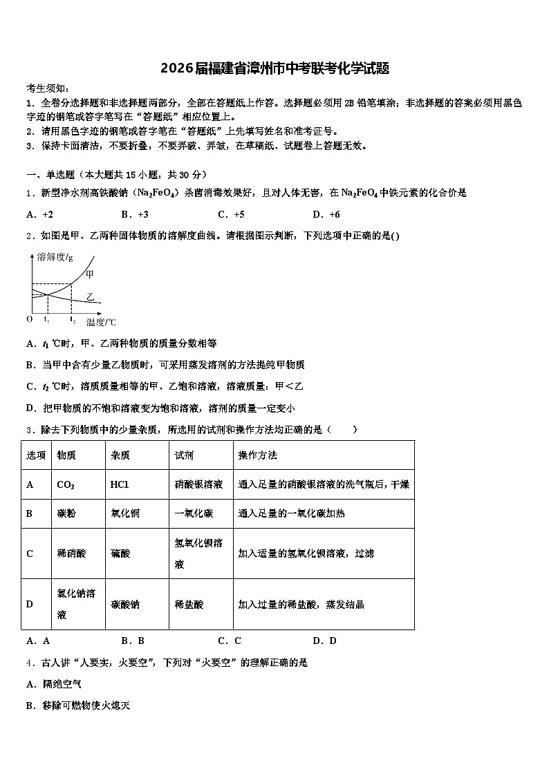 2026届福建省漳州市中考联考化学试题（含答案解析）第1页