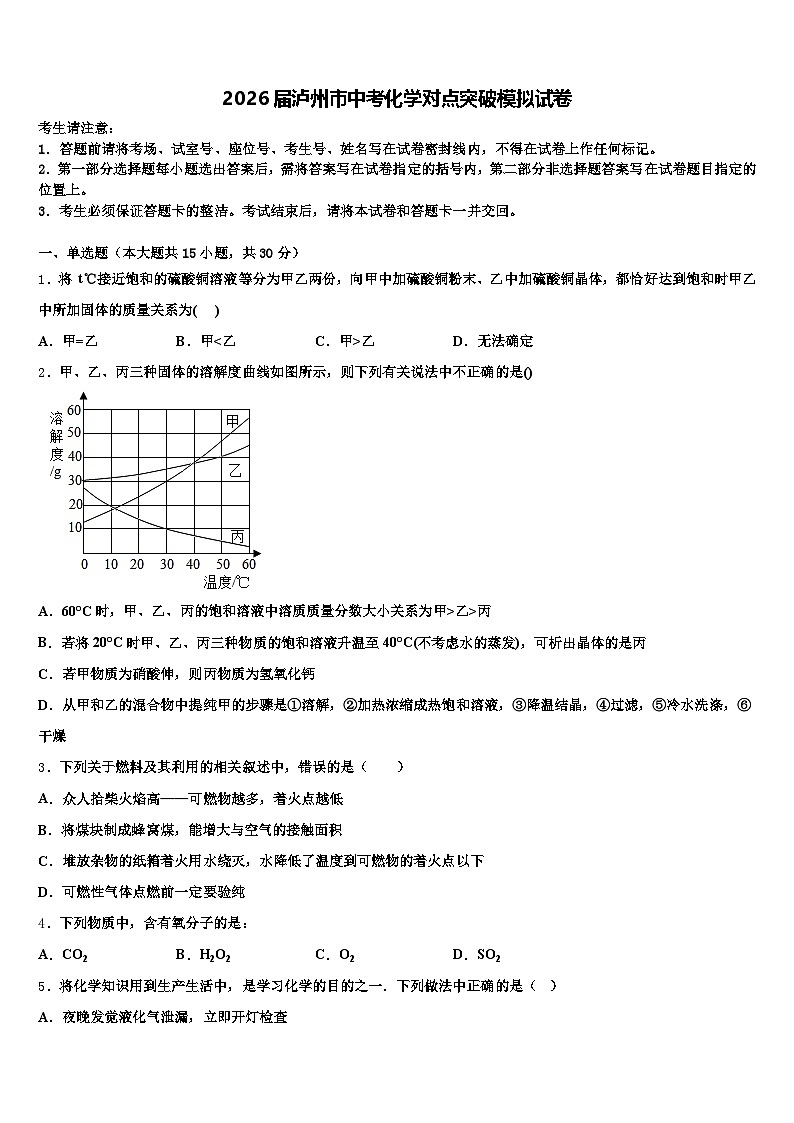 2026届泸州市中考化学对点突破模拟试卷（含答案解析）第1页