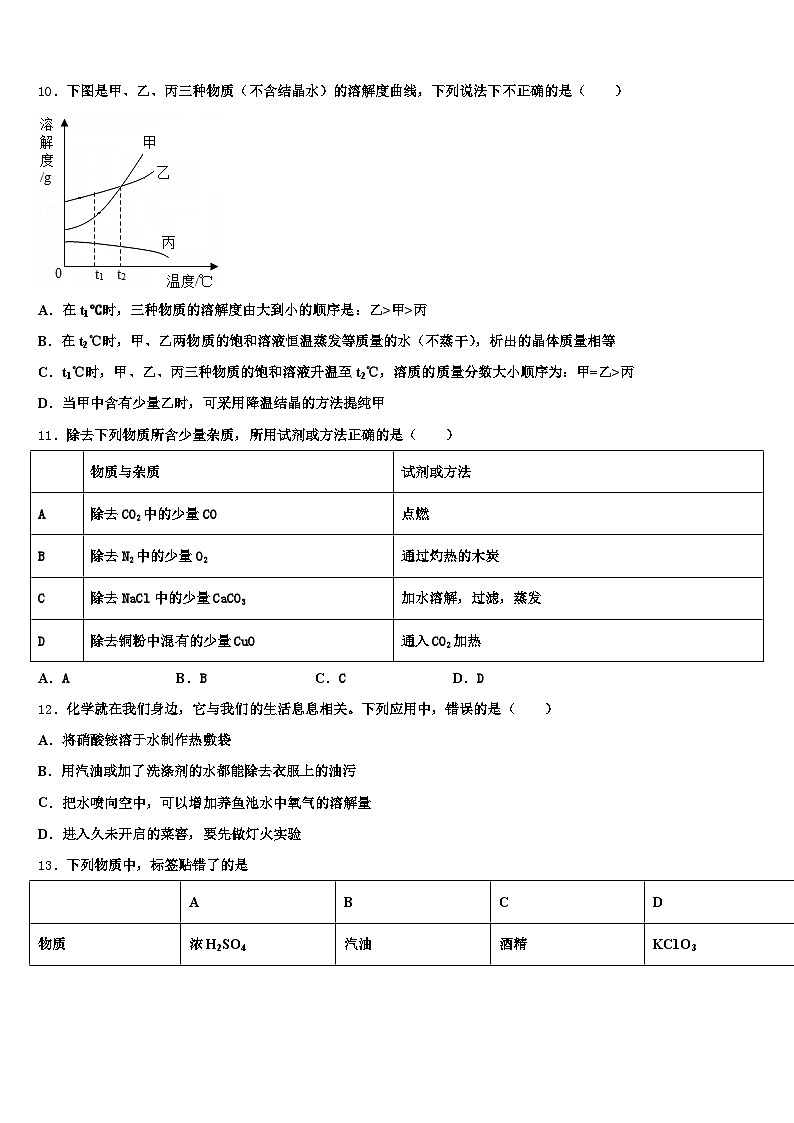2026届泸州市中考化学对点突破模拟试卷（含答案解析）第3页