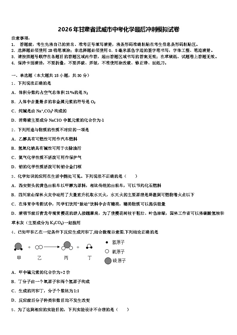 2026年甘肃省武威市中考化学最后冲刺模拟试卷（含答案解析）第1页