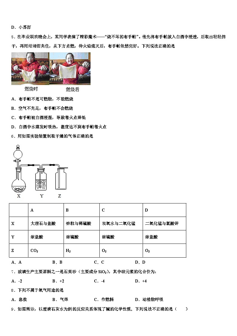 2026年吉林省辽源市中考适应性考试化学试题（含答案解析）第2页