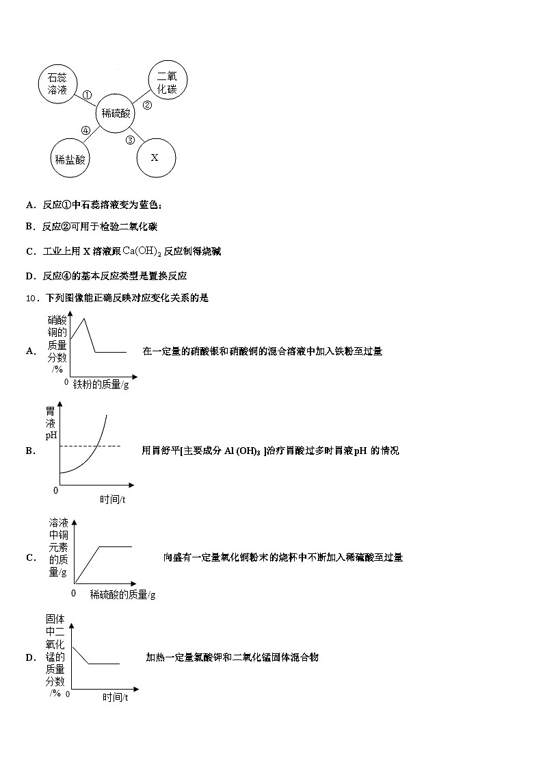 2026年吉林省辽源市中考适应性考试化学试题（含答案解析）第3页