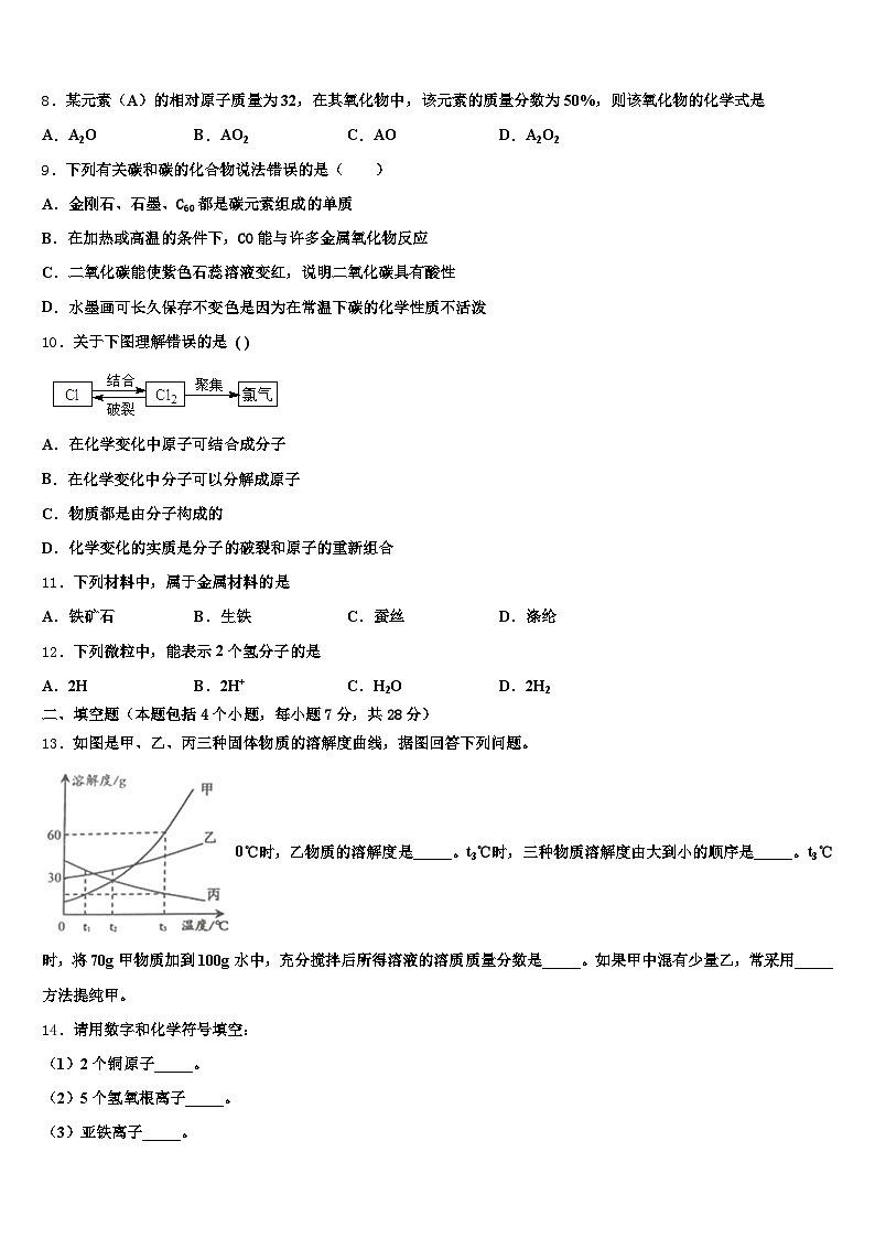 2026年江西省新余市中考联考化学试卷（含答案解析）第3页