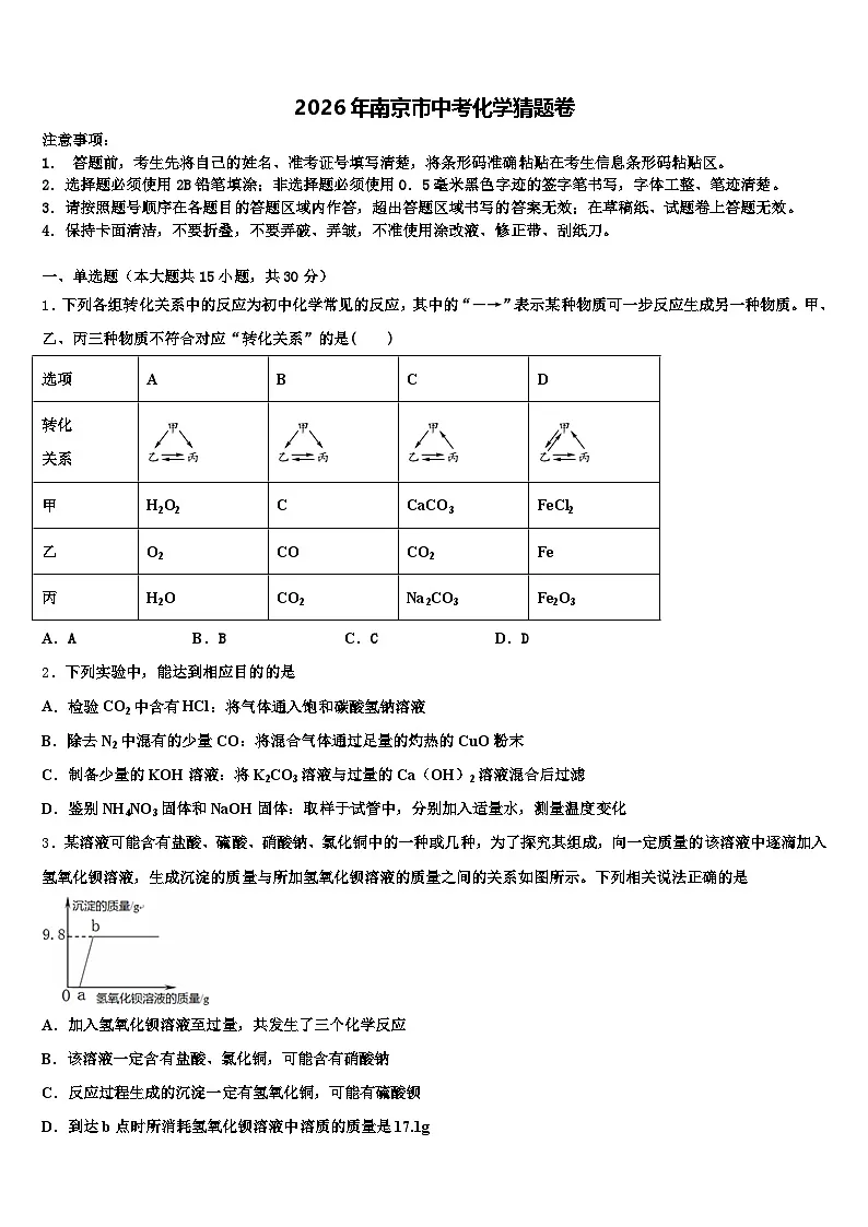 2026年南京市中考化学猜题卷（含答案解析）第1页
