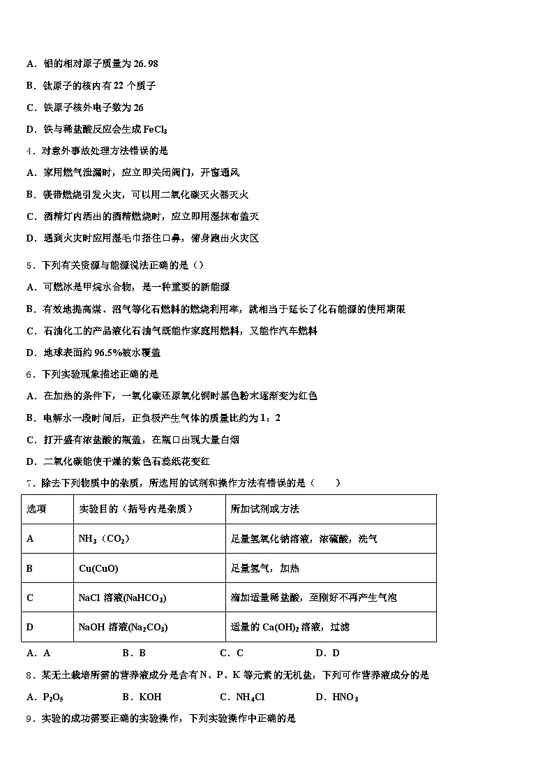 2026年日照市中考化学全真模拟试题（含答案解析）第2页