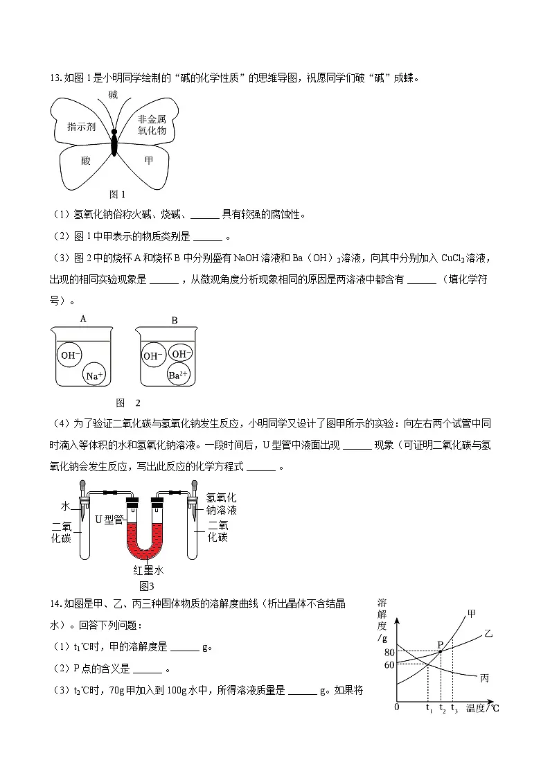 2025-2026学年吉林省长春八十七中九年级（下）开学化学试卷-自定义类型第3页