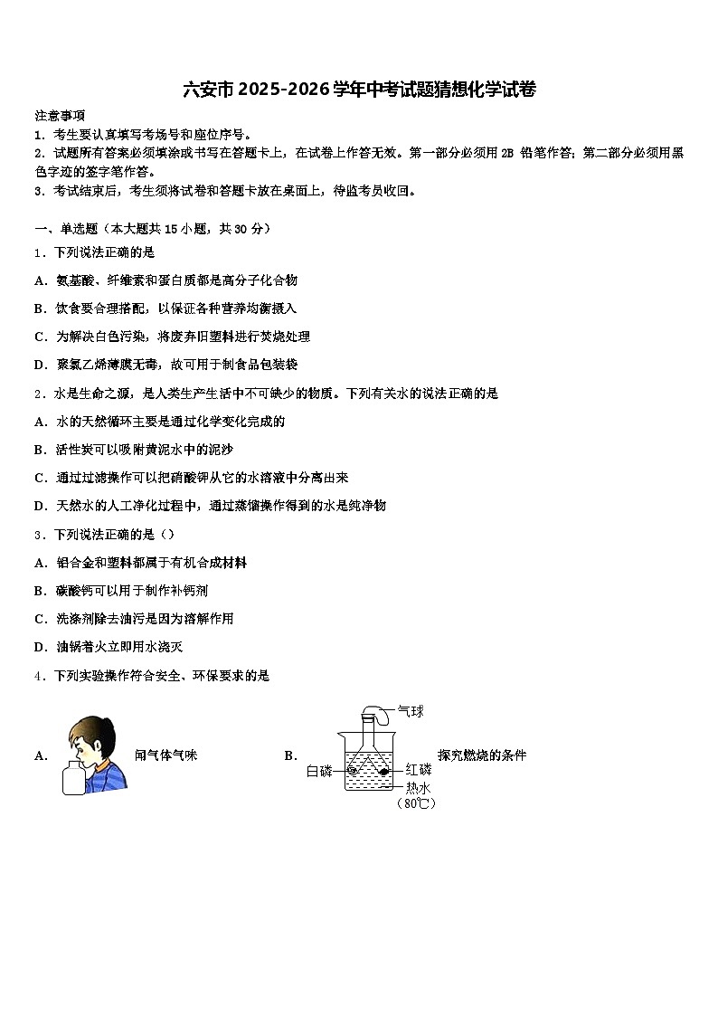 六安市2025-2026学年中考试题猜想化学试卷（含答案解析）第1页