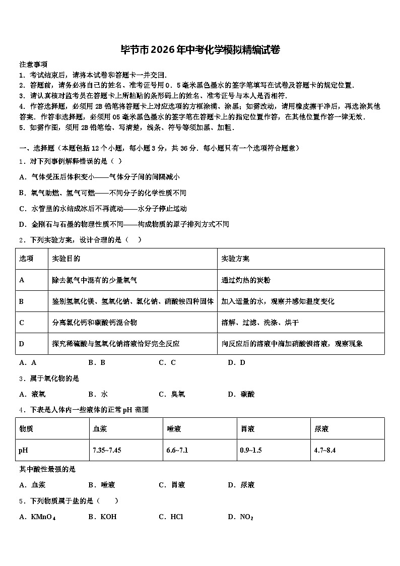 毕节市2026年中考化学模拟精编试卷（含答案解析）第1页