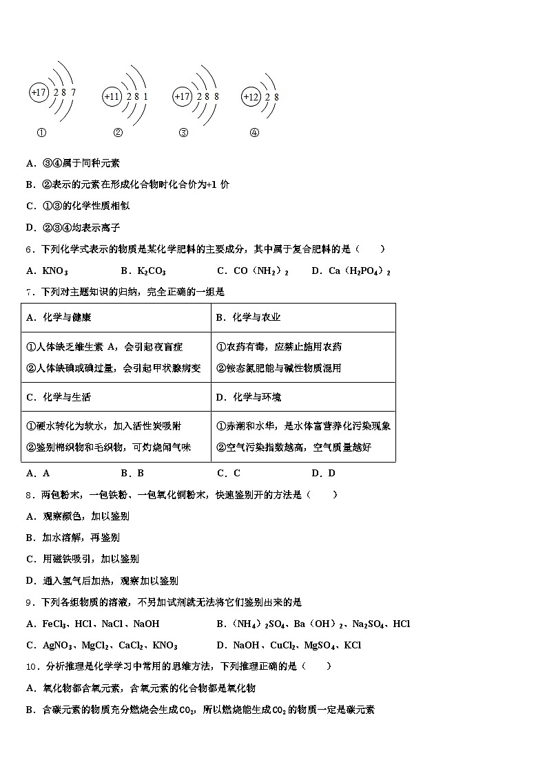 江西省新余市2026年中考化学押题试卷（含答案解析）第2页